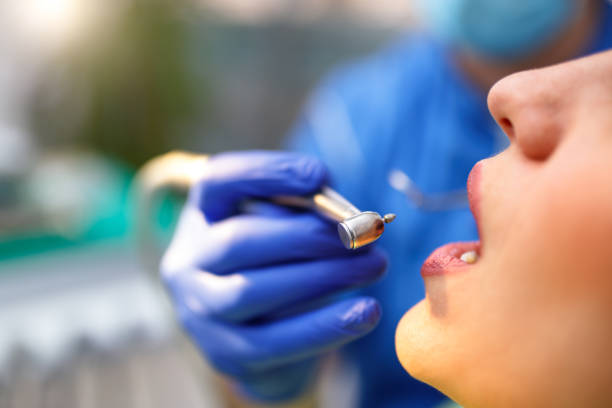  Tropical Park, FL Holistic Dental Services Pros